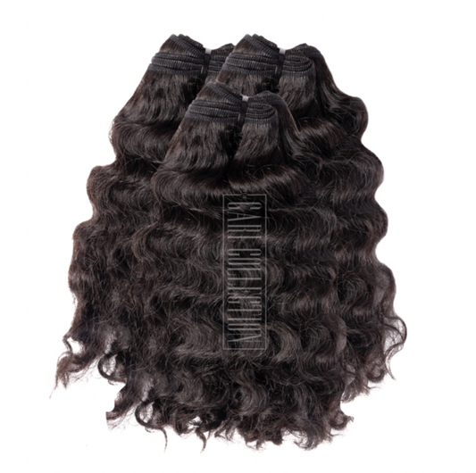 BURMESE CURLY BUNDLE DEALS